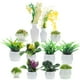 thumbnail image 1 of 13 PCS Plantas de casa de muñecas Plantas de bonsai en miniatura Mini plantas en macetas modelos de vegetación falsa, 1 of 5