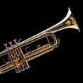 thumbnail image 2 of SHOWERORO 1 Set Buttons Trumpet Replacement Copper Silver for Performance, 2 of 7