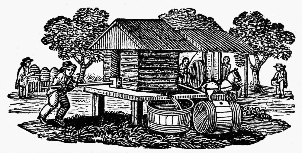Cider Mill 19Th Century Na Cider Mill Wood Engraving From An American