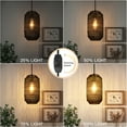 thumbnail image 4 of Cinkeda Plug in Black Pendant Light Dimmable Rattan Hanging Lamp for Kitchen Island Living Room Bedroom,LED Bulb Included, 4 of 6