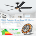 thumbnail image 3 of 60 inch Modern Outdoor Ceiling Fan for Patios with Light,5 ABS Blades,Quiet Reversible DC Motor,Black Golden, 3 of 9