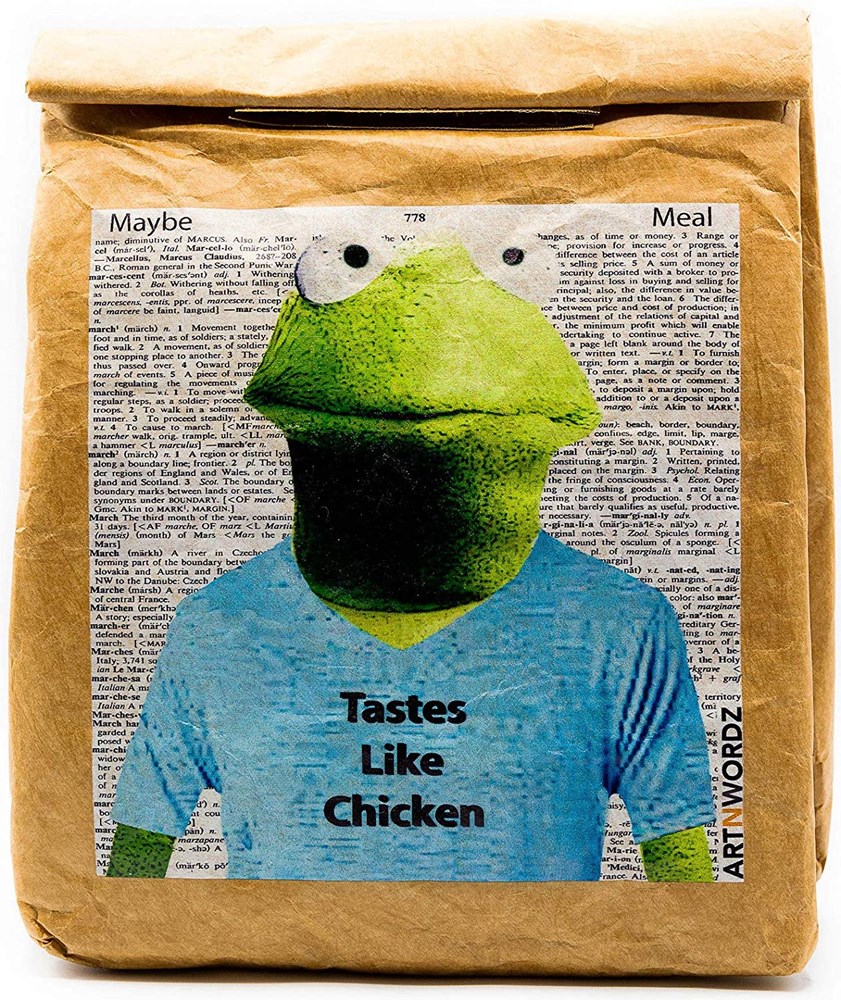 brown tyvek lunch bag