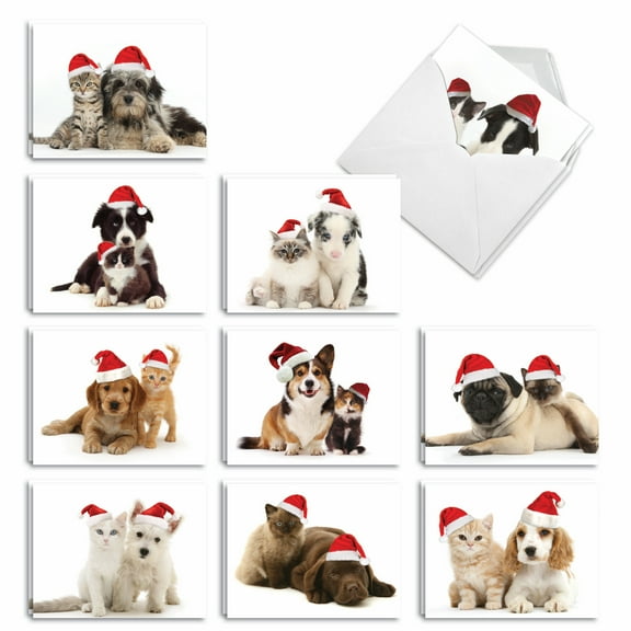 20 Merry Christmas Cards Assorted (10 Designs, 2 Each) - Christmas Copy Cats Christmas (4" x 5.12") AM6596XSB-B2x10
