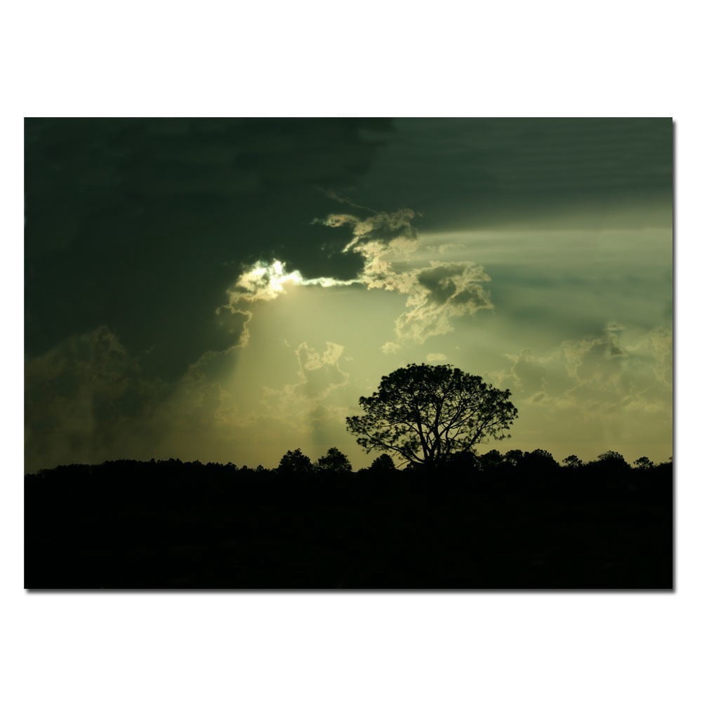 Trademark Fine Art "Light and Dark" Canvas Art by Patty Tuggle Pat