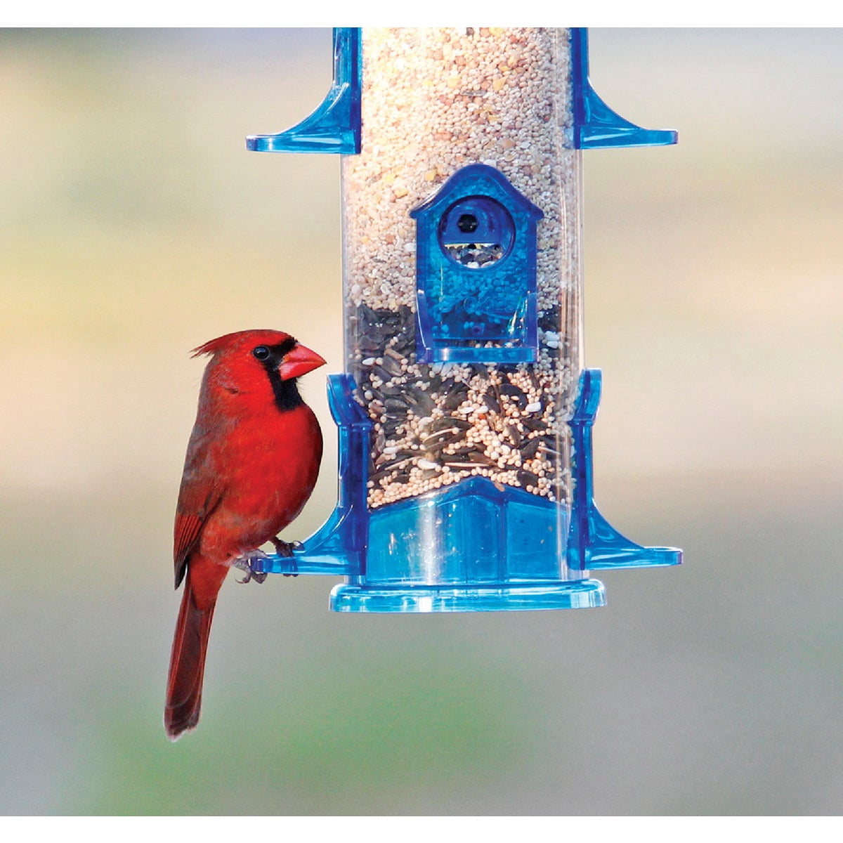 Stokes Select Jumbo Seed Cake Tube Bird Feeder