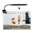 thumbnail image 5 of Aquariums Floating Suction Cups Seahorses Ornament Glowing Dark Landscape Decors, 5 of 9