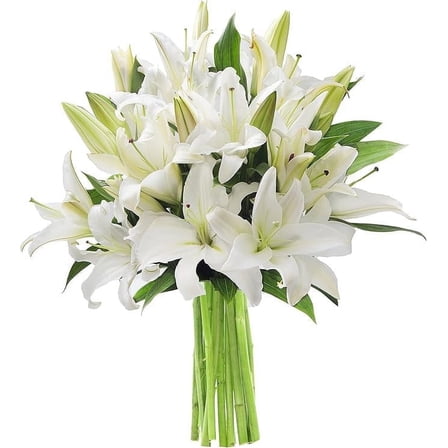 KaBloom : White Lilies, Next-Day Delivery, Gift for Every Occasion.