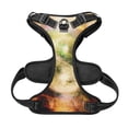 thumbnail image 5 of Lsque Yin Yang 1 Dog Harness, No-Pull Pet Harness with 2 Leash Clips, Adjustable Soft Padded Dog Vest with Easy Control Handle for Large Dogs-Small, 5 of 9