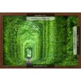 thumbnail image 3 of Wonder of Nature  Real Tunnel of Love, Green Trees and the Railroad, Ukraine, Scenic Framed Art Print Wall Art by Taiga Sold by Art.Com, 3 of 6
