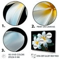 thumbnail image 3 of Designart "Elegance In Charming Plumeria I" Plumeria Floater Framed Canvas Art Print, 3 of 5