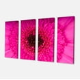 thumbnail image 2 of Macro Photo of Gerbera Flower - Flowers Canvas Wall Artwork, 2 of 3
