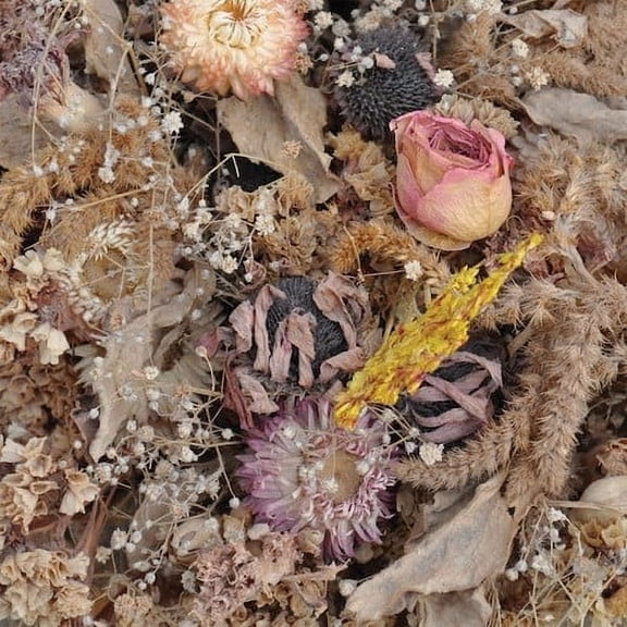 Drowse - Cold Air - Music & Performance - Vinyl