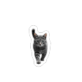 thumbnail image 4 of Trendy Cat Stickers Stickers, Waterproof Cat Stickers Sticker for Water Bottle Laptop Phone Cases Planner Skateboard Luggage Helmet Party Favor Decor, Ideal for Adults Teens Teacher Rewards, 4 of 9