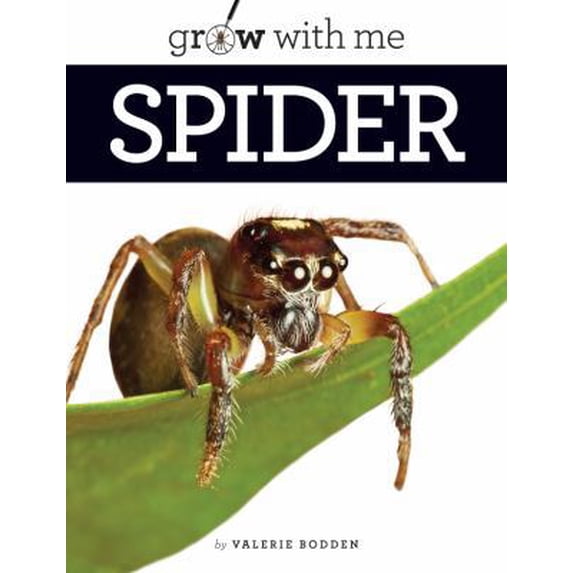 Pre-Owned Spider (Paperback) 0898129931 9780898129939