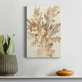 thumbnail image 4 of Parchment Coral IV Premium Gallery Wrapped Canvas - Ready to Hang, 4 of 7
