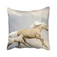 thumbnail image 1 of RYLABLUE Decorative Unique Running Horse Zippered Pillow Case Size 20x20 inches Two Side, 1 of 1