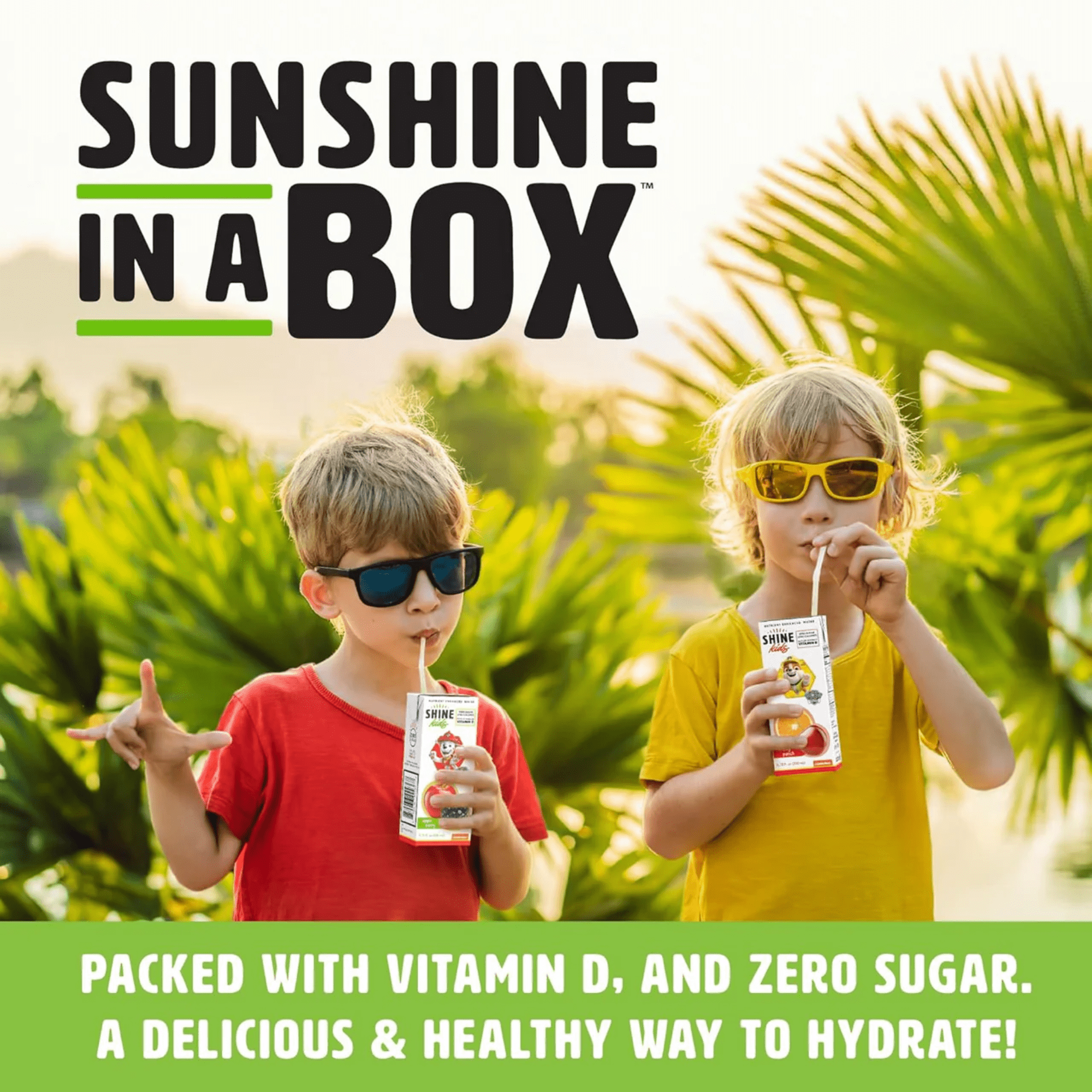 ShineWater Apple Berry Flavored Juice Boxes, 6.75 fl oz, Pack of 8