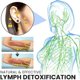 thumbnail image 4 of Atheniz Magnetology Lymphvity Germanio Pendientes, Amo'thea Lymphactive Mag Studs 4 pares Magnético Th, 4 of 5