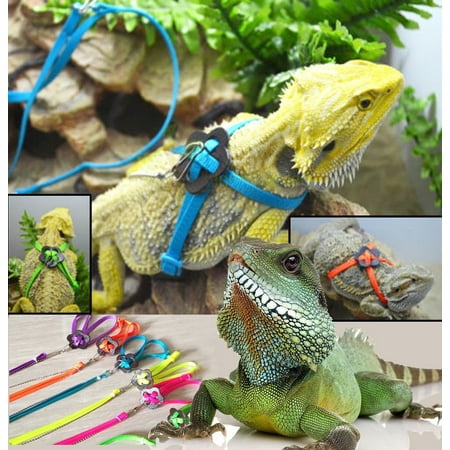 Seven Color Lizard Lights Generic Adjustable Reptile Lizard Harness Leash Adjustable Multicolor Light Soft Fashion - 1PCS ()