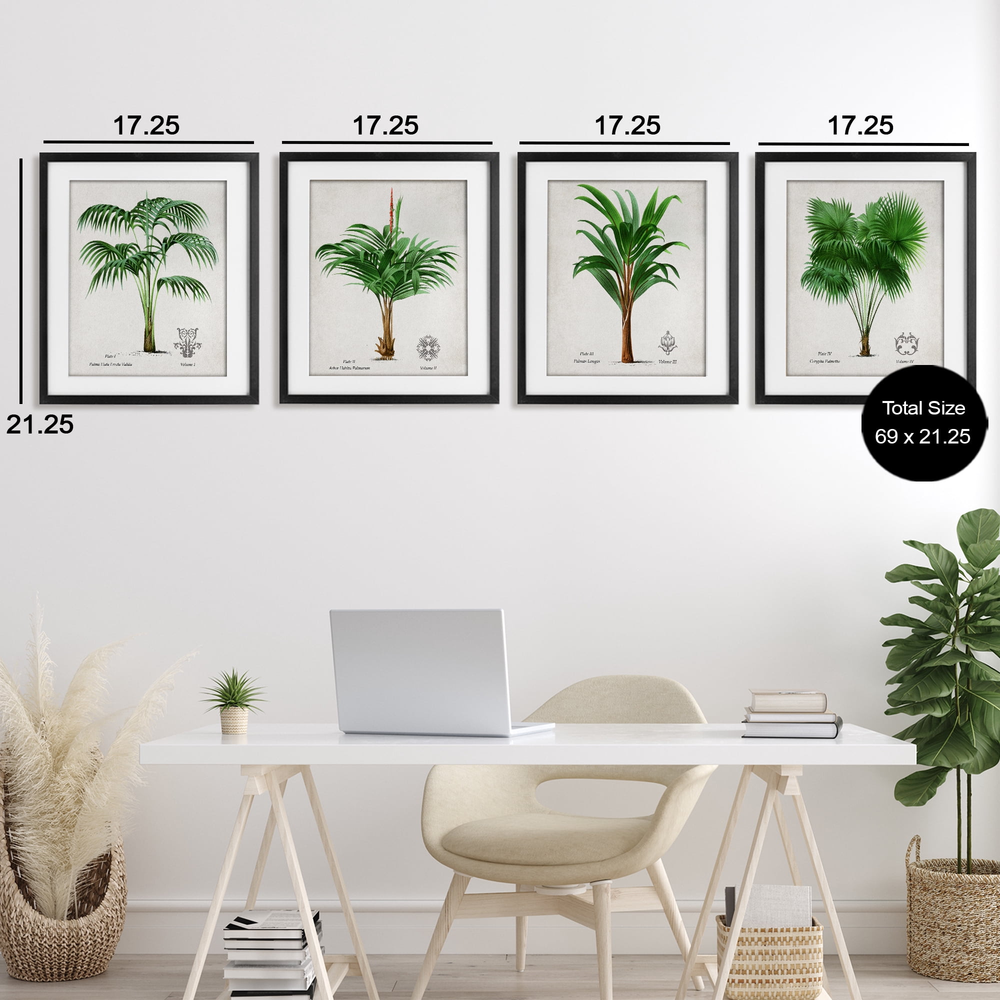 Stupell Industries Palm Varieties Studies 4 Piece Black Framed Print Under Glass Set, design by Natalie Carpentieri
