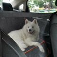 thumbnail image 5 of Barrera de red para perros en el coche, antiarañazos, transpirable, malla de seguridad para perros en el vehículo, garantía de por vida para perros en el coche, 5 of 5