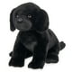 thumbnail image 1 of Peluche Bearington Collection Lil' Jet Labrador 20 cm, 1 of 6