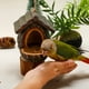 thumbnail image 4 of Comedero para Pájaros Colgante Tipo Nido, de Resina, Ideal para Jardín, Patio o Exteriores. Fácil de Instalar. Regalo Perfecto para Amantes de Las Aves. Incluye 1 Comedero., 4 of 7