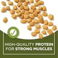 thumbnail image 6 of Purina Cat Chow Naturals Dry Indoor Cat Food, Chicken 3.15 lb (Pack of 2), 6 of 7