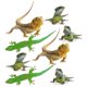 thumbnail image 4 of Auto Decal Stickers 3D Lizard Long-Lasting Adhesion Assorted Color 2 Sets, 4 of 5