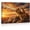 Frame-style, variant on Lioness & Cubs African Sunset Canvas Wall Art Majestic Lion Family Wildlife Animal Print Inspirational Nature Wall Decor for Living Room Bedroom Nursery Home Decor