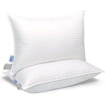 East Coast Bedding Goose Down Feather Pillows Medium Support 100% Cotton 300TC Pack of 2, Queen Size 20x30 Inch