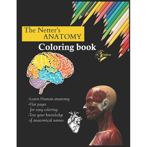 Anatomy Coloring Book : Learn Anatomy while you coloring (Paperback