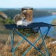 thumbnail image 5 of Comedero automático para pájaros | Dispensador de comida para loros con diseño anti-dispersión | Contenedor de almacenamiento de granos autodeslizante para aves domésticas, 5 of 6