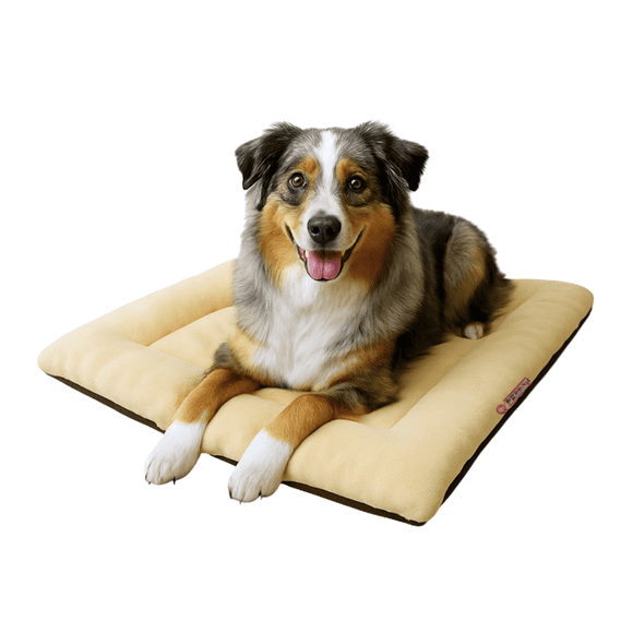 Cama Para Perro Q Perrón Raza Mediana Color Beige