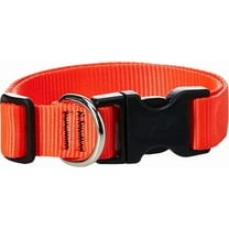 LupinePet Basics 1" Blaze Orange 16-28" Adjustable Collar for Large Dogs