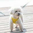 thumbnail image 6 of Soft Mesh Dog Harness and Leash Set for Walking, for Small Dogs and House Cats, 6 of 6