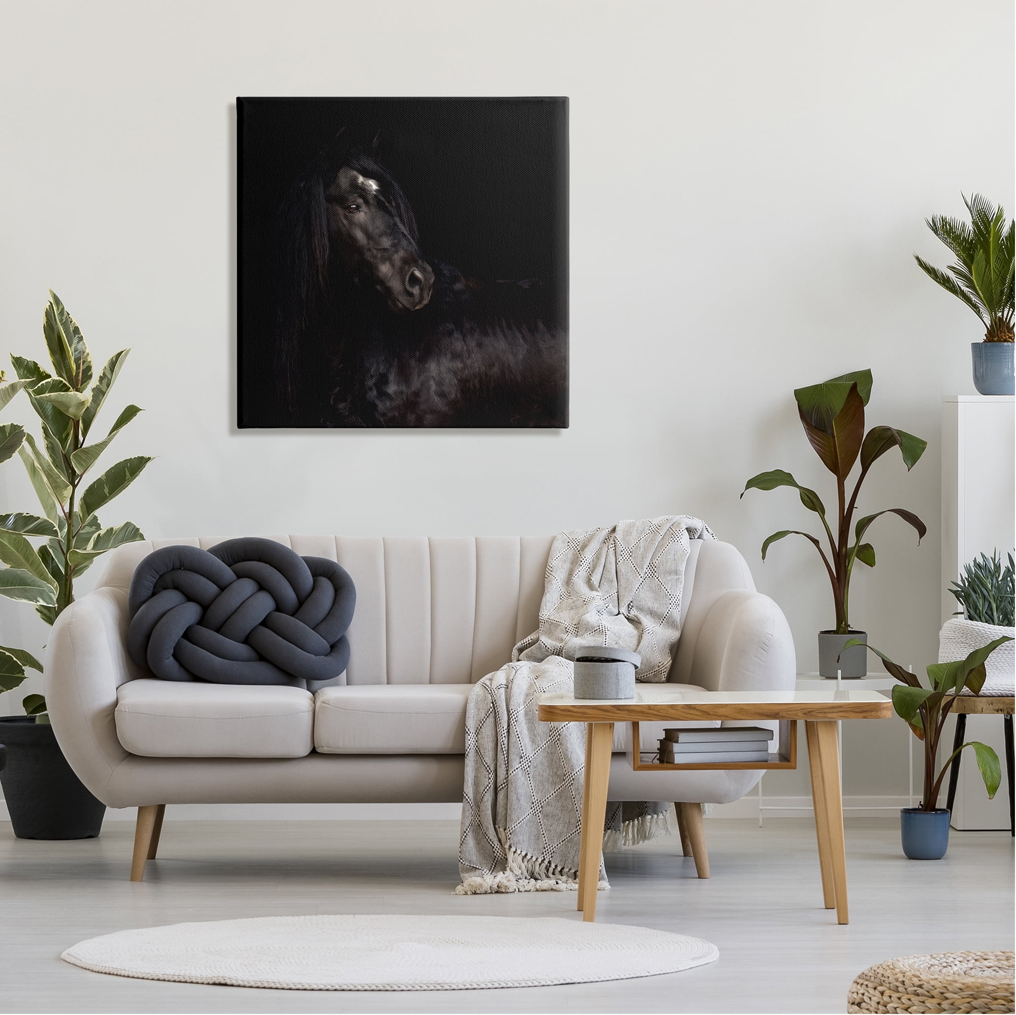 Stupell Industries Elegant Black Stallion Animals & Insects Photography Gallery Wrapped Canvas Art Print Wall Art, 30 x 30