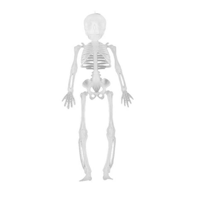 SDNall Halloween Decorations Outdoor, Halloween Decorations Indoor, Halloween Decoration Skeleton Props, Haunted House Room Venue Skeleton Model Frame, Skeleton Halloween Decoration