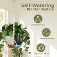 thumbnail image 2 of Gentingbro 3 Pcs White Hanging Planters Set, Decorative Pots for Succulents, Green Plants & Flowers Indoor Outdoor, Space-Saving Hanging Plant Pots for Vertical Gardening, 2 of 8