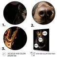 thumbnail image 3 of Designart "Royal Dachshund Crowned King" Animals Canvas Wall Art - Traditional Brown Dog Bedroom Canvas Wall Art, 3 of 6