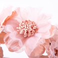 thumbnail image 4 of Baby Girls Flower Cluster Headband Soft Lace Cloth Floral Head Wear for Wedding Party Cute Flower Hair Band for Toddlers Flower Girls,Pink, 4 of 7