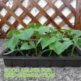 thumbnail image 3 of Bandejas De Inicio De Semillas Bandeja De Plántulas Bandeja De Siembra De 12 Celdas Con Tapa Humedad Ajustable Kit De Cultivo De Inicio De Plantas Methold HA041593-00, 3 of 6
