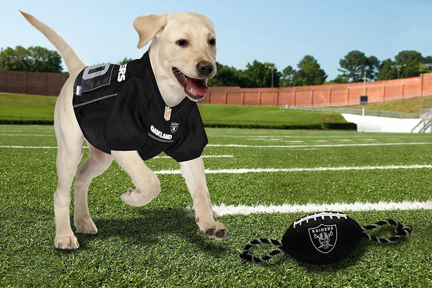 Pets First Nfl Las Vegas Raiders Nylon Football-Licensed