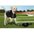 thumbnail image 5 of Pets First Nfl Las Vegas Raiders Nylon Football-Licensed, 5 of 6