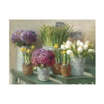 Trademark Fine Art 'Les Fleurs Printemps' Canvas Art by Danhui Nai