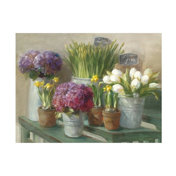 Trademark Fine Art 'Les Fleurs Printemps' Canvas Art by Danhui Nai