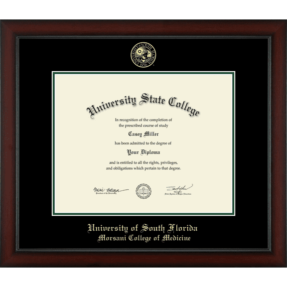University of South Florida Morsani College of Medicine Diploma Frame, Document Size 14" x 11"