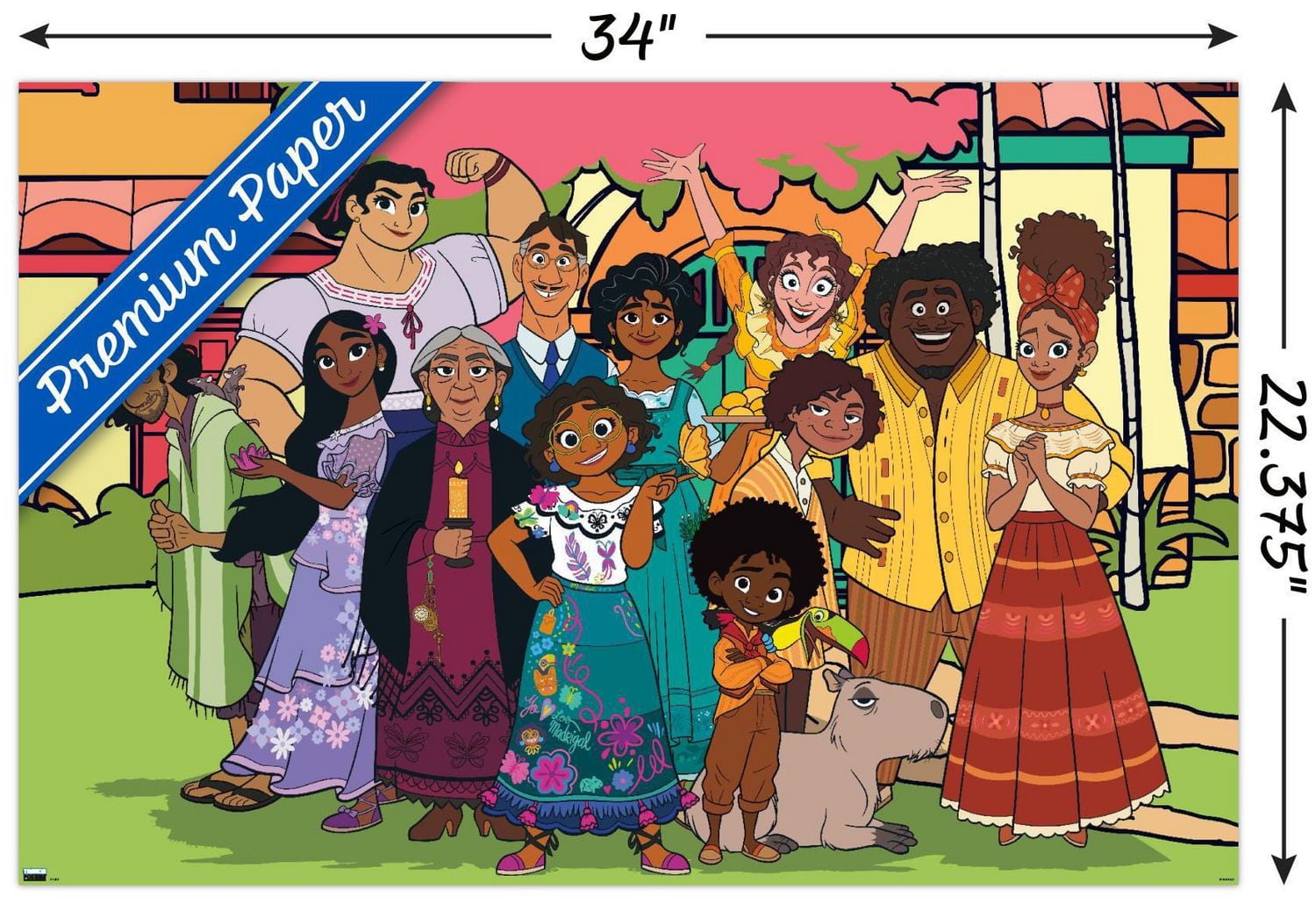 Disney Encanto - Family Wall Poster, 22.375" x 34" Framed