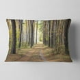 thumbnail image 2 of Designart Pathway in Autumn Pine Forest - Modern Forest Throw Pillow - 12x20, 2 of 5