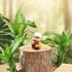 thumbnail image 4 of Adorno de maceta de resina para escritorio de Monje Basimu Kung | Divertida miniplanta decorativa para oficina con hojas realistas | Decoración zen para el hogar y la oficina | Bonita figura de, 4 of 5